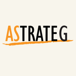 אסטרטג טכנולוגיות